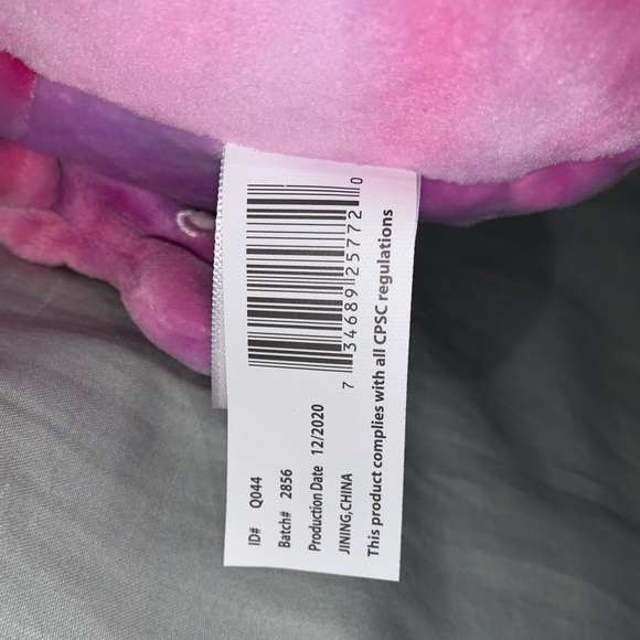 Squishmallows Kelly Toys 8’ Caeli Cat Pink Pillow - Picture 5 of 8